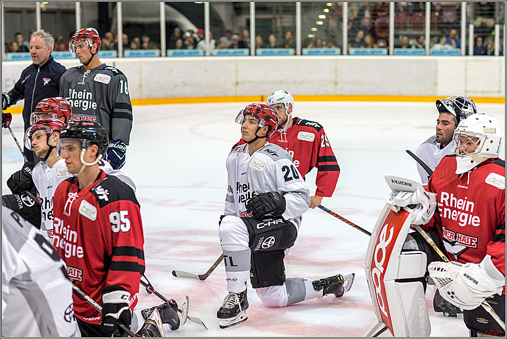1. offizielles Training der Koelner Haie, 05.08.2018